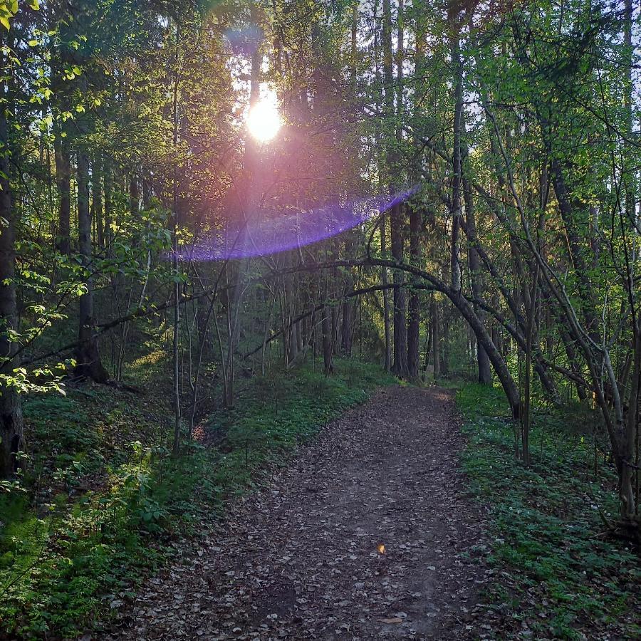 Ozolu Gatve 2- No Cesim 7 Km Appartement Jānamuiža Buitenkant foto