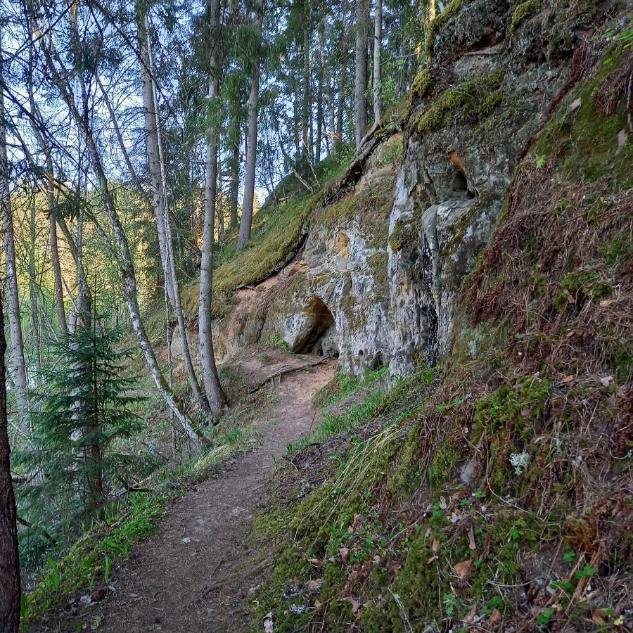 Ozolu Gatve 2- No Cesim 7 Km Appartement Jānamuiža Buitenkant foto